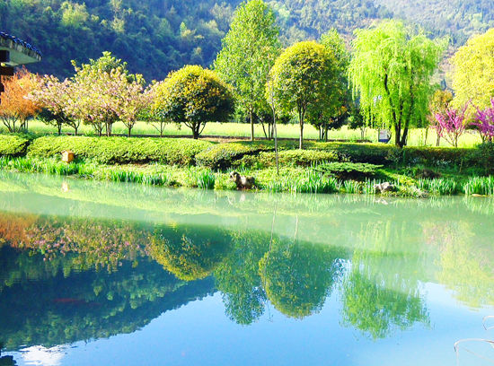 张家界春色 黄龙洞景区现"七彩仙池"美景