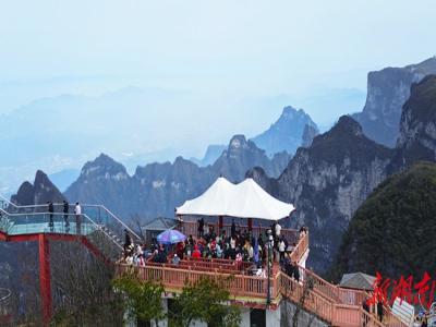 �żҽ�����ɽӭ���´�̤���ȳ�